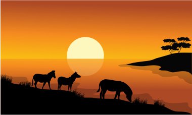 Nehir kıyısı Zebra siluet