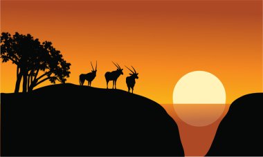 Uçurumdaki antilop siluet