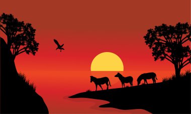 Zebra göl Silhhouette