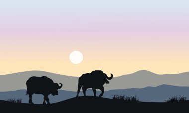 Boğa Hills silüeti