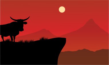 Boğa Uçurumdaki silüeti