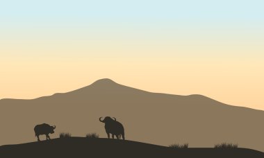 Boğa Hill güzel silueti