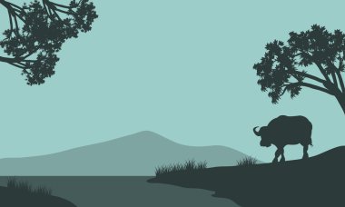 Tek bizon siluet