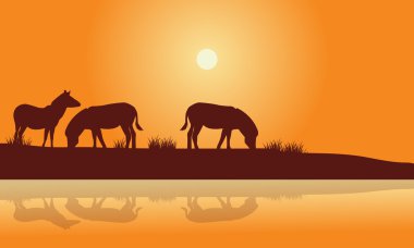 Zebra nehir silüeti