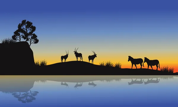 Antilope und Zebrasilhouette am Morgen — Stockvektor