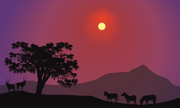 Silhouette de zèbre et d'antilope — Image vectorielle