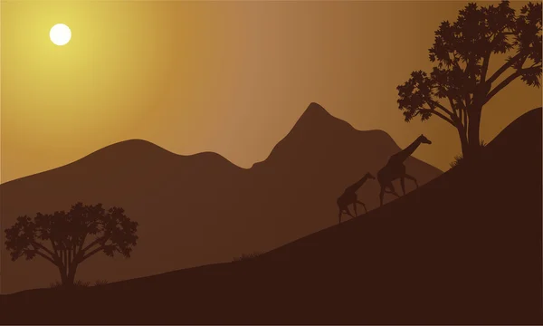 Silhouette girafe sur la colline — Image vectorielle