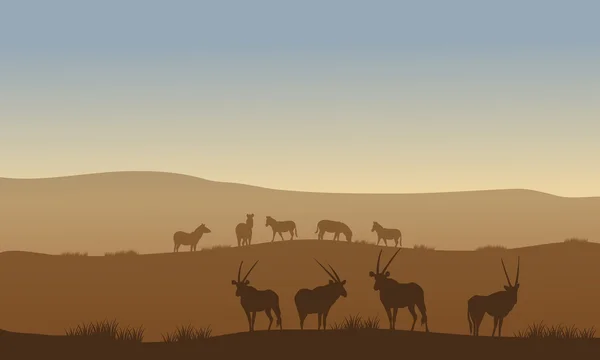 Antilopen und Zebras auf den Hügeln — Stockvektor