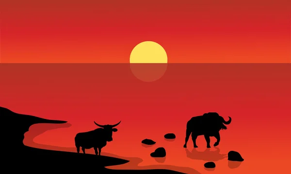 公牛在湖中的剪影 — 图库矢量图片