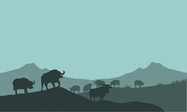 Silhouette de bisons dans les paysages de collines — Image vectorielle