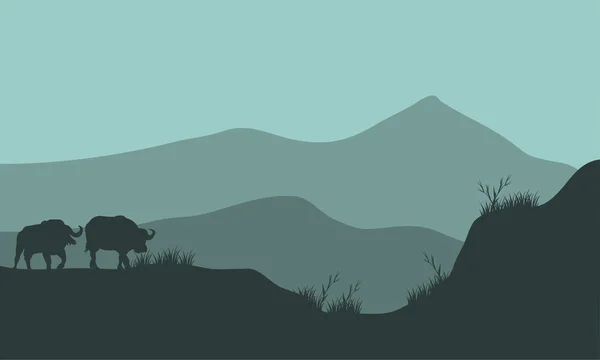 Paisaje silueta bisonte en las colinas — Vector de stock