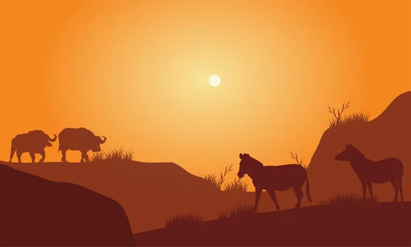 Silhouette of bison in hills — Stock Vector