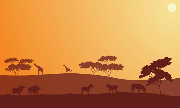 Silhouette von Bisons, Zebras und Giraffen — Stockvektor