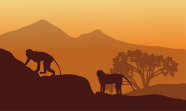 İki maymun silüeti