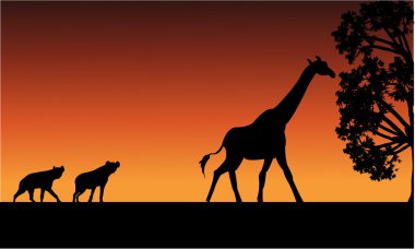 Silhouette Panter ve zürafa