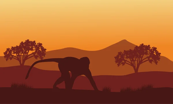 Silhouette de singe dans les collines — Image vectorielle