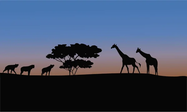 Silhouet van giraffe en puma — Stockvector