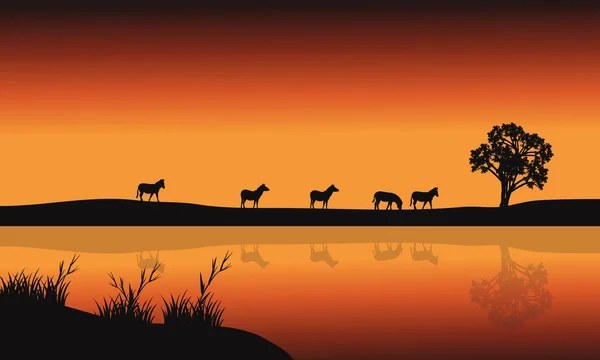 Silhouettes de zebara et lac — Image vectorielle