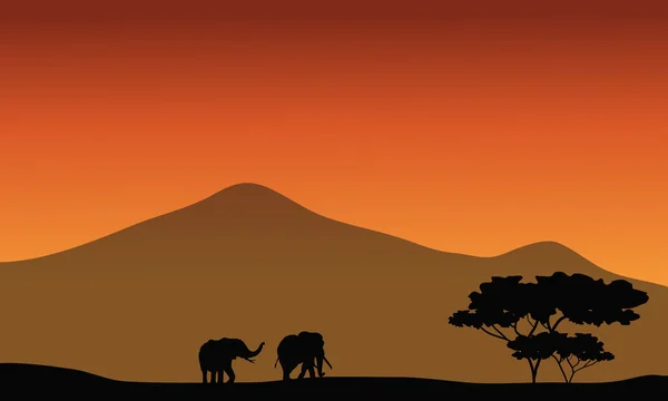 Silhouete słoń w dziedzinach — Wektor stockowy