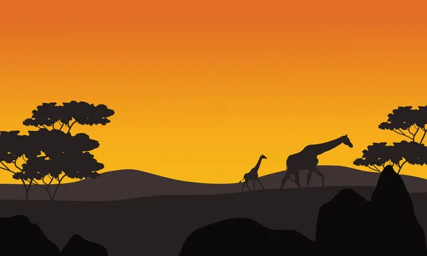 Silueta de jirafa en el paisaje del parque — Vector de stock
