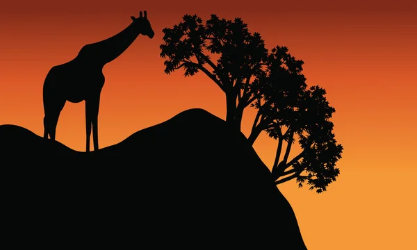 Giraffe silhouet in rots landschap — Stockvector