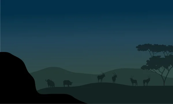 Silhouette d'antilope et de bison — Image vectorielle