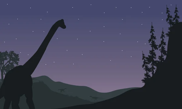 Sylwetka jednego Brachiosaurus w nocy — Wektor stockowy
