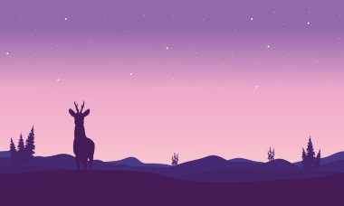 Zebra Hills silüeti