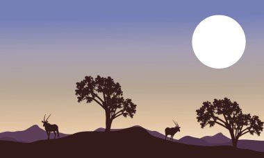 Antilop ve dolunay manzara siluet