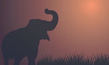 Alanları siluetleri manzara fil