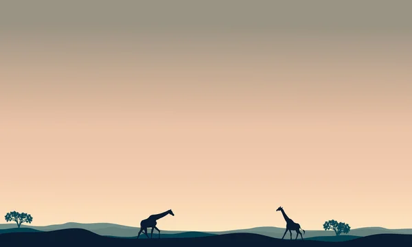Girafe paysagère l'après-midi — Image vectorielle