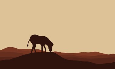 Zebra Hills siluetleri