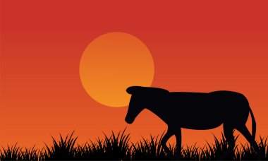 Öğleden sonra zebra sahne siluet