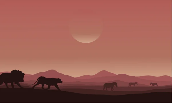 Silhouet van Leeuw familie in woestijn — Stockvector