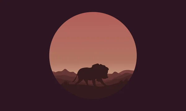 Silhouette de lion unique dans les champs — Image vectorielle