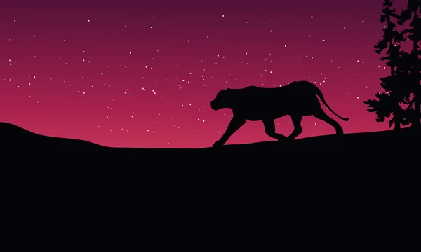 Lion à silhouettes de paysages nocturnes — Image vectorielle