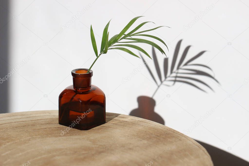 Interior decoration.A palm branch in a miniature vase made of brown glass with beautiful shadows of sunlight on the white wall.Minimal, stylish, trendy concept.copy space