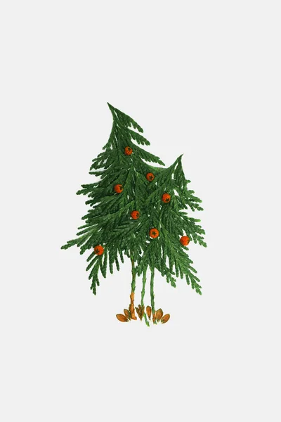Vánoční Stromeček Větví Bobulí Izolovaném Bílém Pozadí Přírodní Vánoční Pozadí — Stock fotografie