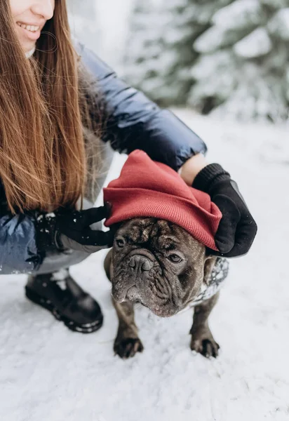 Women Hands Put Red Hat Dog Open Air Winter Park — стоковое фото