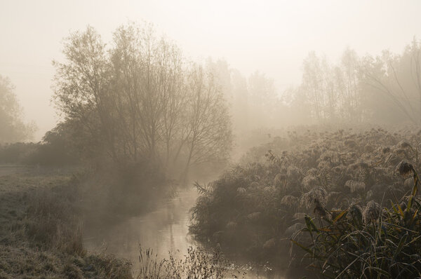 утренний туман на реке