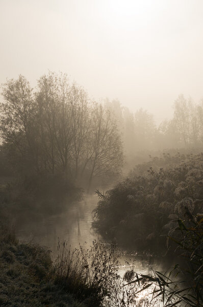 утренний туман на реке