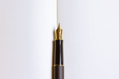 Bir defterin üzerindeki dolmakalemin yakın çekimi. Şiir yazma kavramı. Uluslararası Şiir Günü