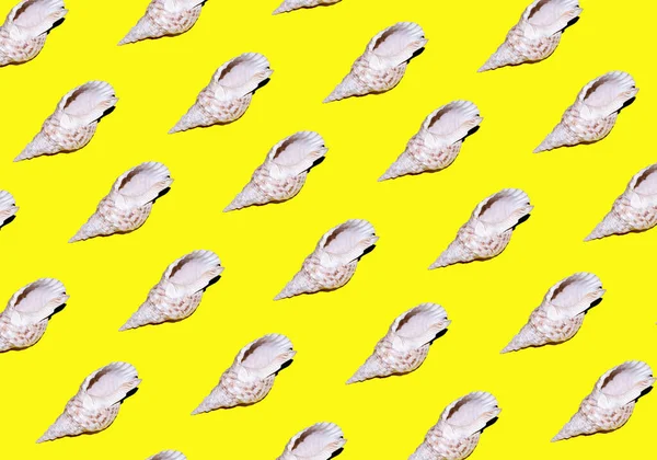 黄色の背景に貝殻のパターン 夏休みの旅行 — ストック写真
