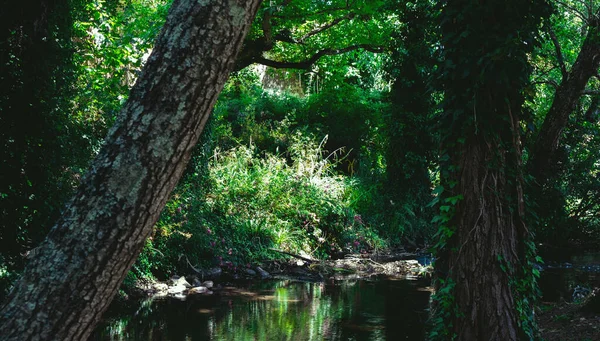 River in a forest in Portugal. Rural tourism