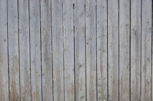 Light blue wooden planks, wood background — Stock Photo, Image