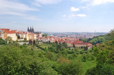 Prag. Bahar. Beroun Hills. Çek Cumhuriyeti.