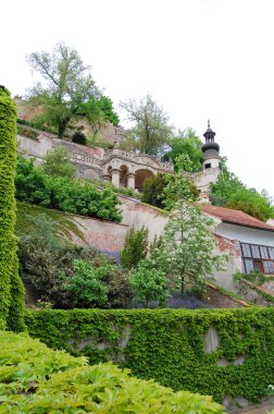 Prag. Bahar. Çiçeği