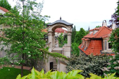 Prag. Bahar. Çiçeği