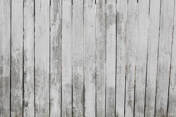 Holzdielen, Holzhintergrund, weiß, grau — Stockfoto
