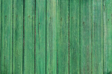 ahşap plakalar, ahşap arka plan, yeşil